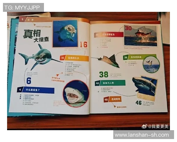 姚明与猫鲨鱼的奇妙邂逅探索海洋生物的奥秘与魅力 姚明与猫鲨鱼的奇妙邂逅探索海洋生物的奥秘与魅力