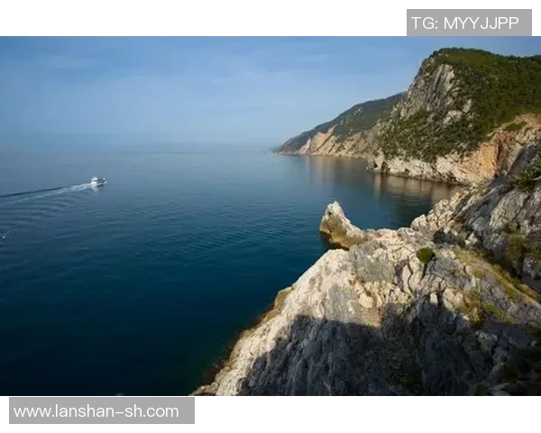 印度足球明星盘点:谁是绿茵场上的璀璨明珠 印度足球明星盘点:谁是绿茵场上的璀璨明珠