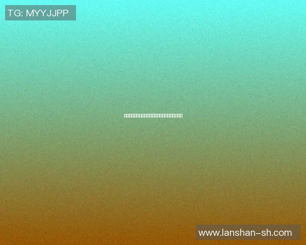 篮球明星合影图展现璀璨星光与团结精神的完美瞬间